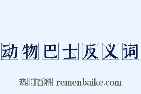 动物巴士反义词是什么意思的图片